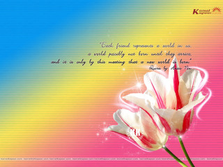 Pink flower rainbow background quote - widescreen free wallpaper