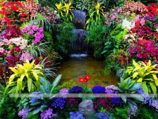 Garden waterfall colorful flowers plants - a pond free wallpaper for desktop