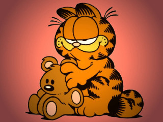 Cartoon cat teddy bear pink - a pink background behind free wallpaper