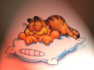 Cat sleeping pillow fish back - a pillow free wallpaper