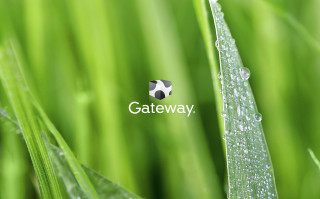 Close up grass gateway logo - a close up of a grass free wallpaper