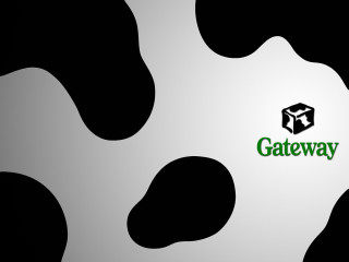 Cow pattern gateway green box - in the middle of the image free wallpaper
