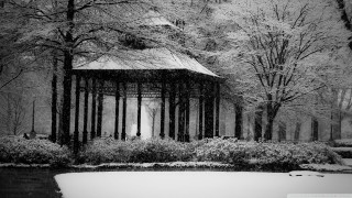 Gazebo snowy park trees bushes - cornelia parker free wallpaper