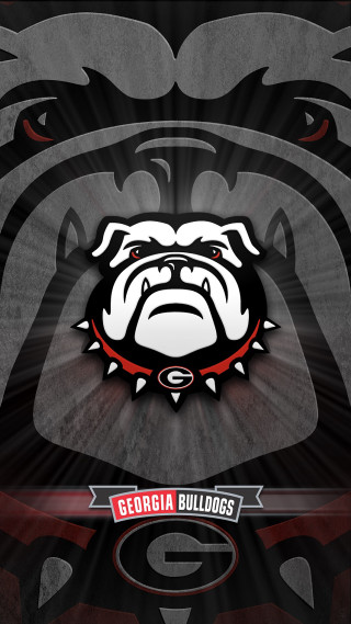 Black white bulldog red collar - balcomb greene free wallpaper for mobile