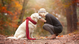 Woman kneeling white dog forest - a red scarf free wallpaper for desktop