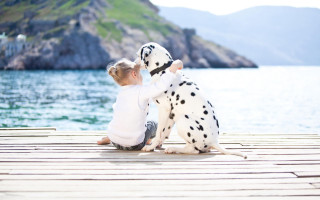 Little girl dock dalmatian dog - a little girl free wallpaper for desktop