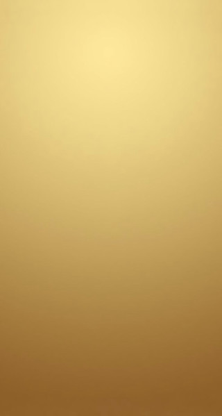 Gold background white black cat - free sky wallpaper