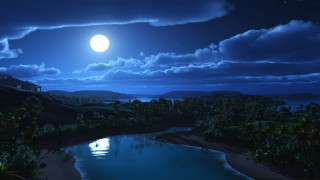 Full moon water palm trees 2 - nighttime free wallpaper