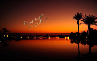 Sunset bridge palm trees good - friend free wallpaper