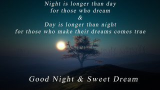 Tree quote image beautiful inspiration - sweet free wallpaper