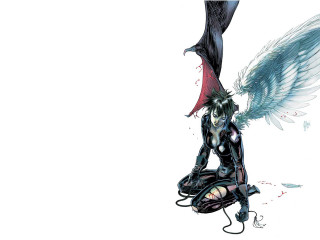 Woman wings sitting computer mouse - a black bird free wallpaper