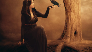 Woman long dress holding bird - a long dress holding free wallpaper for desktop