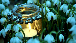 Honey jar field flowers candle - ann thetis blacker free wallpaper for desktop