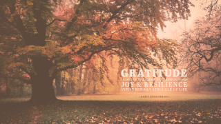 Tree quote gratitude joy resilience - darrell riche free wallpaper