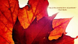 Close up leaf quote on - simple free wallpaper