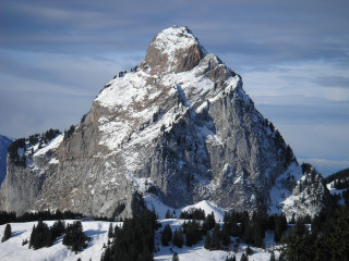 Mountain snow peak evergreen trees - a snow free wallpaper