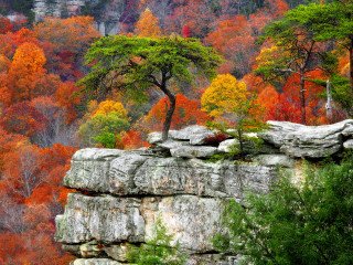 Tree rock formation fall colors - douglas robertson bisset free wallpaper