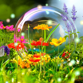 Bubble flowers inside grass field - free spring wallpaper for tablet