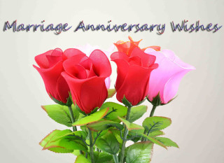 Vase roses table anniversary wishes - bracha l. ettinger free wallpaper