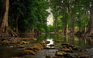 River rocks trees water cloudy 2 - river free wallpaper