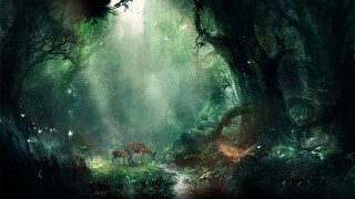 Deer forest light trail woods - david martin free wallpaper for desktop