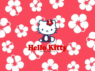 Hello kitty wallpaper flowers cat - kitty wallpaper free wallpaper for desktop