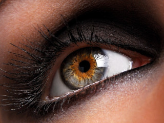 Woman eye brown yellow iris - a womans eye free wallpaper