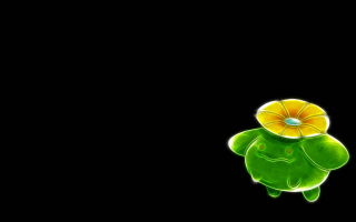 Green yellow flower black background 3 - dark background free wallpaper for desktop