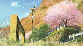 Street sign tree pink flowers - a hill in the background free wallpaper