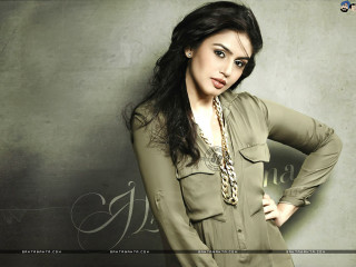 Woman green shirtdress leopardnecklace handship - dark background free wallpaper for desktop