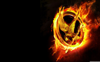 Bird flying fire circle black 2 - symbolism free wallpaper for desktop