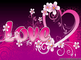Pink white love wallpaper flowers - flower and hearts free wallpaper