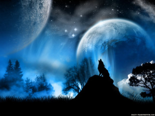 Wolf hill moon stars sky 3 - a wolf free wallpaper