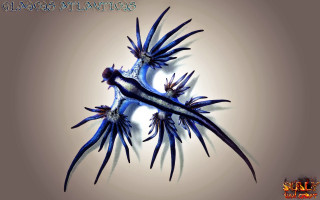 Birds branch digital painting with - lovecraftian free wallpaper