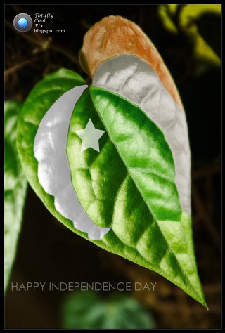 Green leaf crescent star happy - a green leaf free wallpaper for mobile