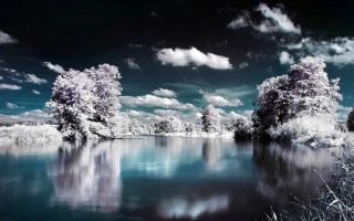 Lake trees clouds blue sky 7 - beautiful landscape free wallpaper