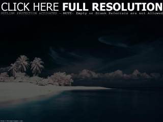 Beach palm trees clouds black - cinematic matte painting free wallpaper