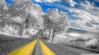 Yellow road trees clouds blue - a yellow line free wallpaper