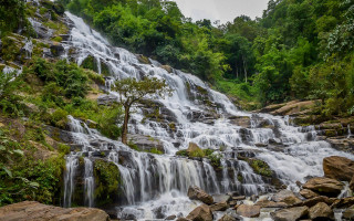 Waterfall tree rocks foreground trees - a tree in the middle of it free wallpaper