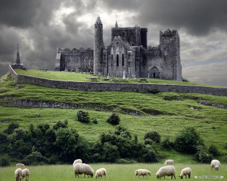 Sheep grazing field castle stormy 2 - a castle in the background free wallpaper