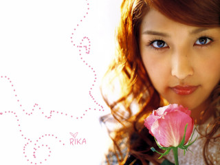 Woman holding pink rose smiling - a white background behind her free wallpaper