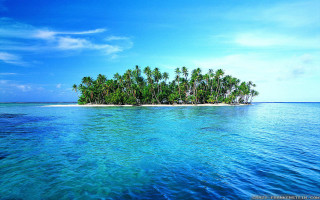 Small island palm trees ocean 2 - the middle of the ocean free wallpaper