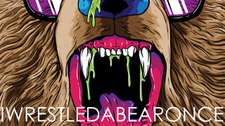 Bear sunglasses paint dripping tongue - a bear free wallpaper