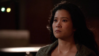 Woman green jacket long hair - leesha hannigan free wallpaper