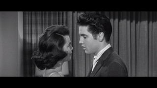 Man woman looking black white - edward otho cresap ord ii free wallpaper