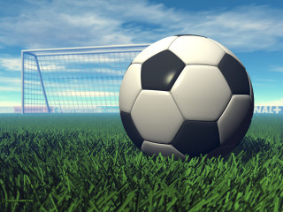 Soccer ball grass goal sunny - the grass next free wallpaper