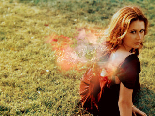 Woman laying grass field blurry - the ground in a field of grass free wallpaper