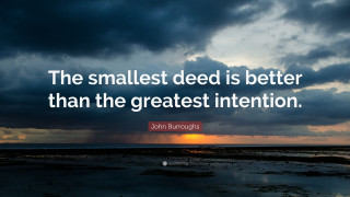 Smallest seed greatest intention john 2 - better free wallpaper