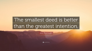 Smallest seed greatest intention john - better free wallpaper