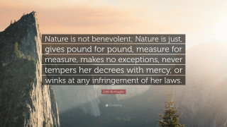 Quote on nature measure benevolent - free nature wallpaper